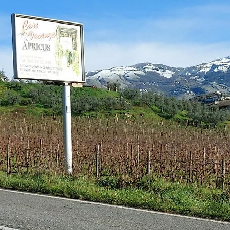 La Loggetta Di Apricus Villa Olevano Romano Exterior foto
