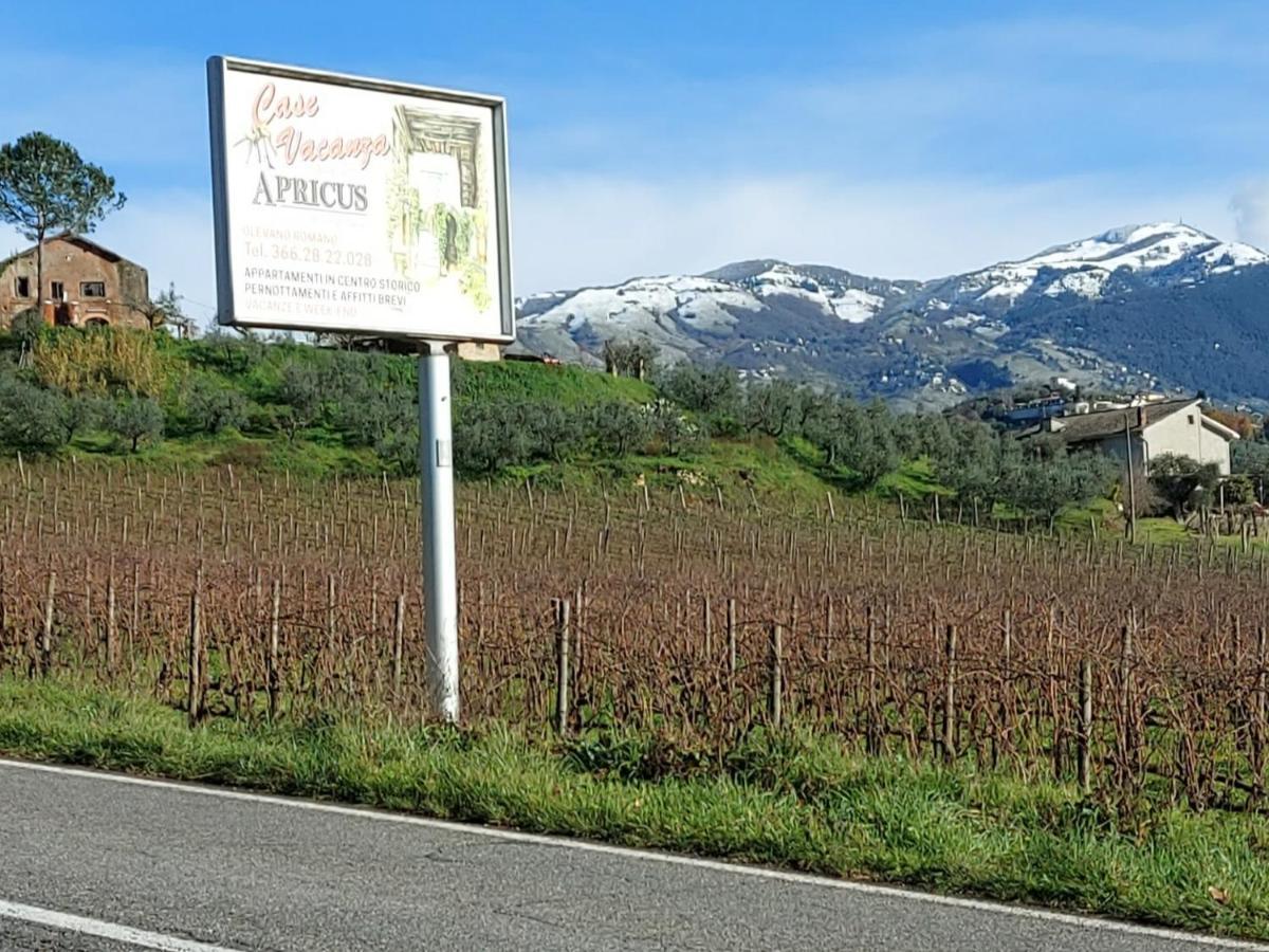 La Loggetta Di Apricus Villa Olevano Romano Exterior foto