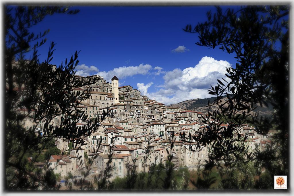 La Loggetta Di Apricus Villa Olevano Romano Exterior foto